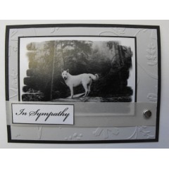 Dog Sympathy Greeting Card - 49